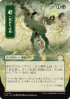 Shared Roots