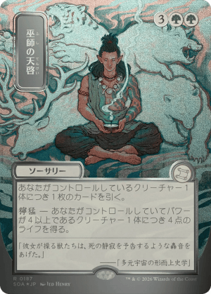 Shamanic Revelation