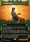 Crop Rotation